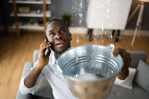 Best Water damage cleanup near me  in Crocker, WA