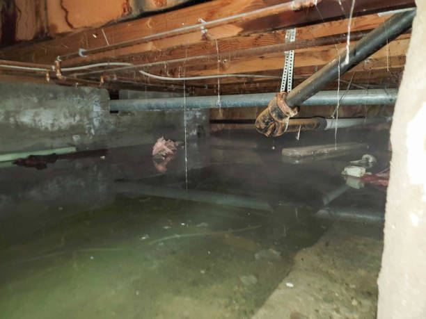 Best Water damage contractors near me  in Crocker, WA