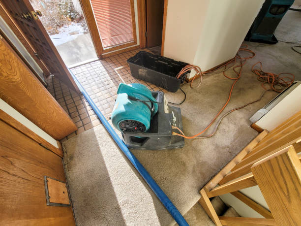 Best Professional water damage repair  in Crocker, WA