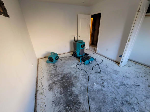 Best Basement water damage restoration  in Crocker, WA
