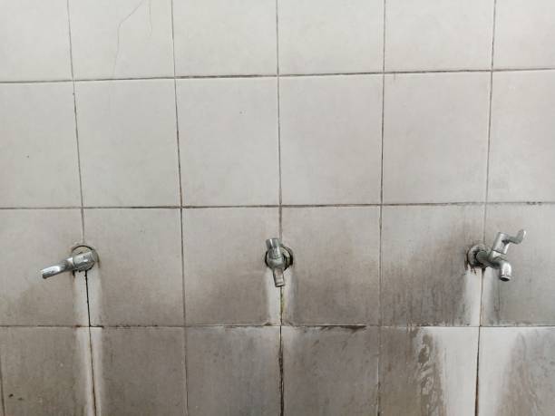 Best Carpet water damage restoration  in Crocker, WA