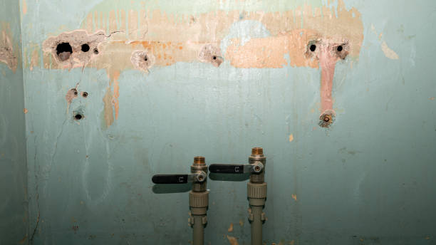 Reliable WA Water damage restoration Solutions