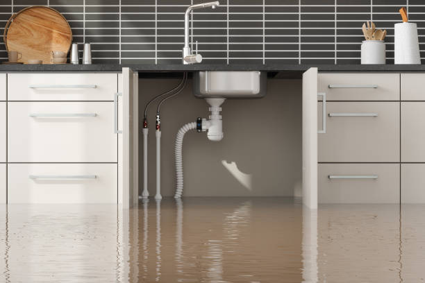 Best Flood damage cleanup  in Crocker, WA
